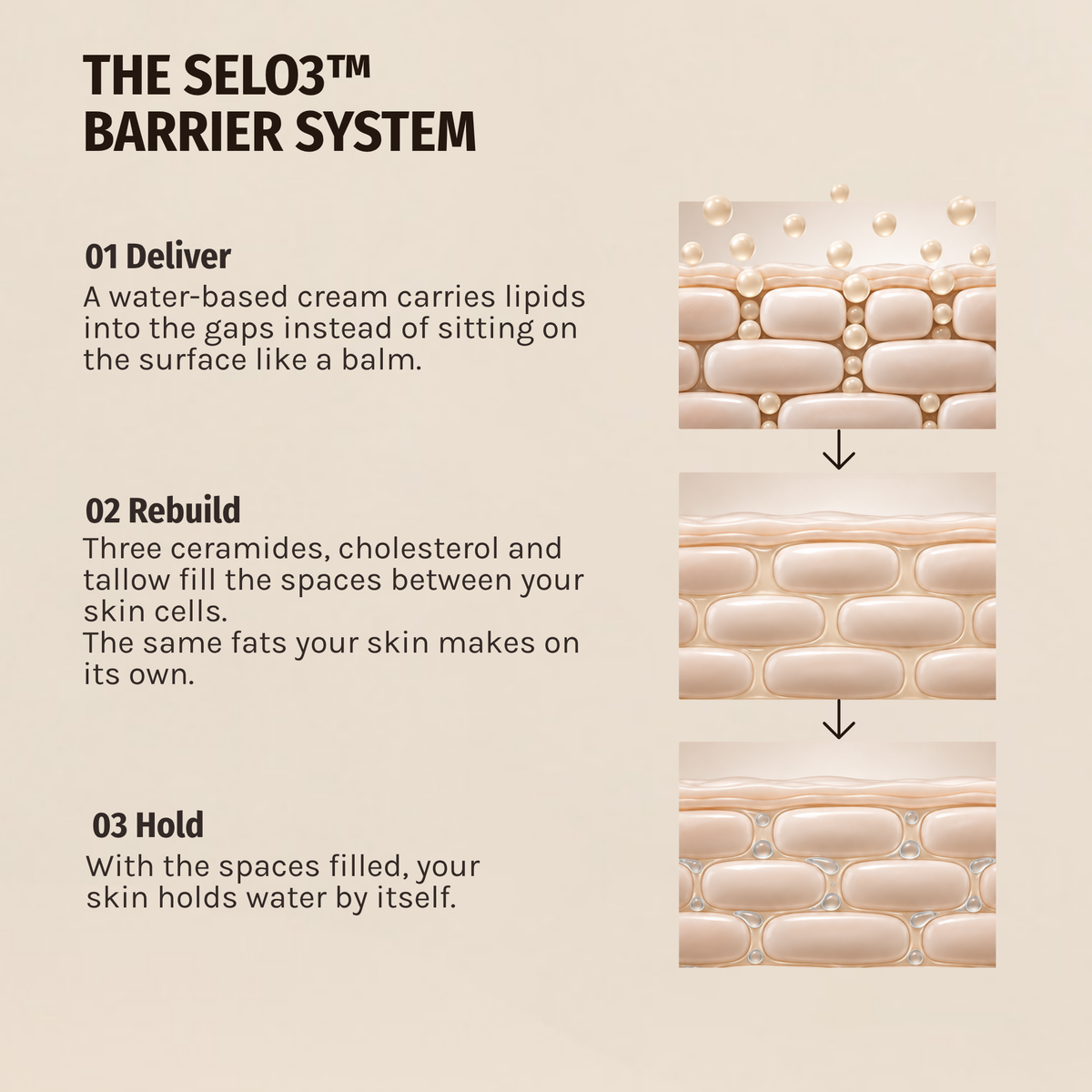 Skin Reset™ Barrier Restore Cream