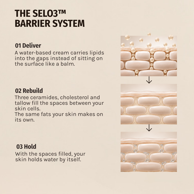 Skin Reset™ Barrier Restore Cream